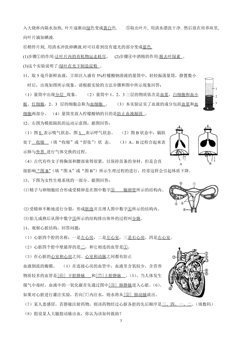 初中生物识图题汇总