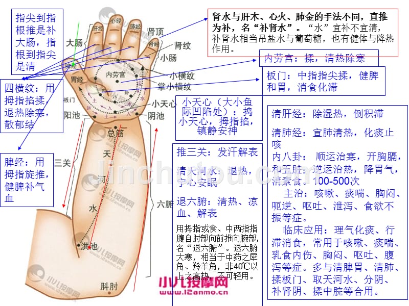 小儿推拿穴位001