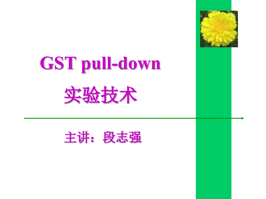 gstpulldown实验技术