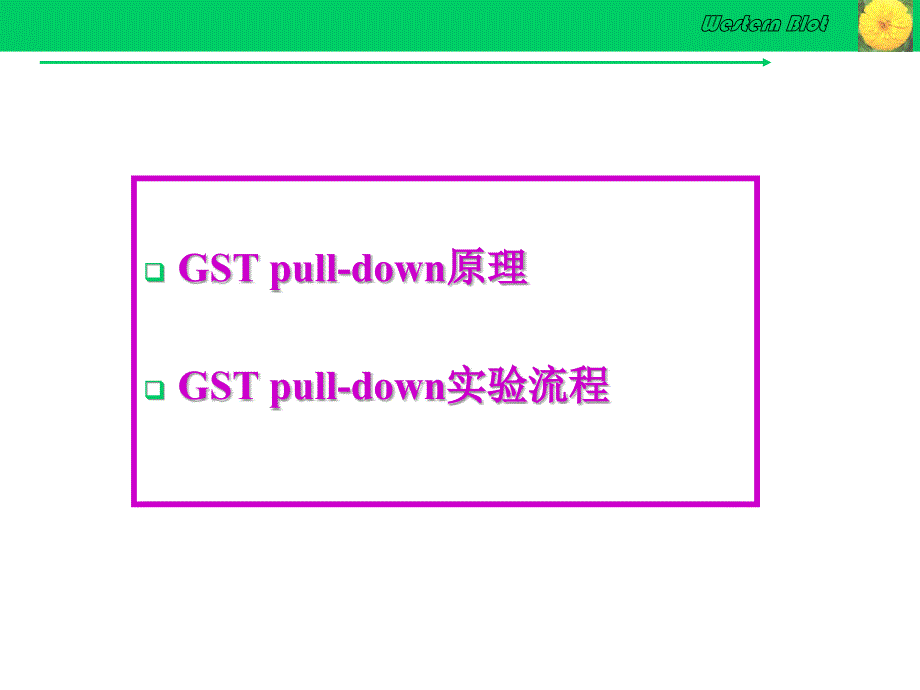 gstpulldown实验技术