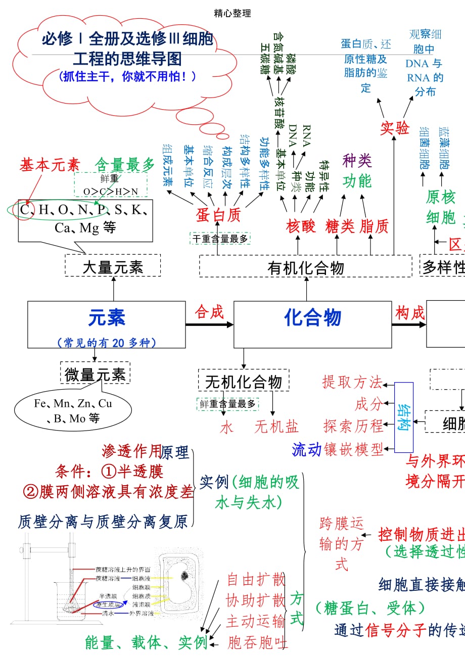 生物必修一物质基础与细胞工程的思维导图