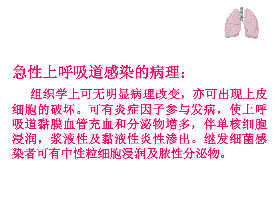 上呼吸道感染急性ppt课件