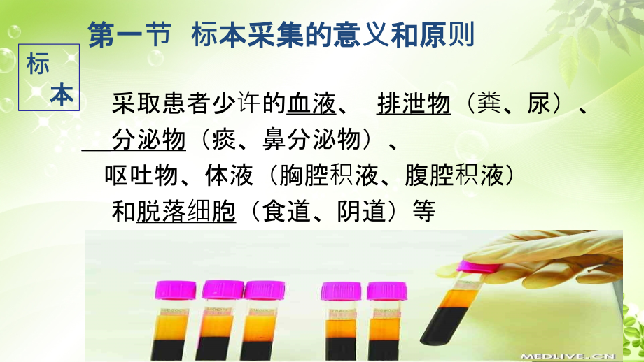 实训标本采集ppt课件