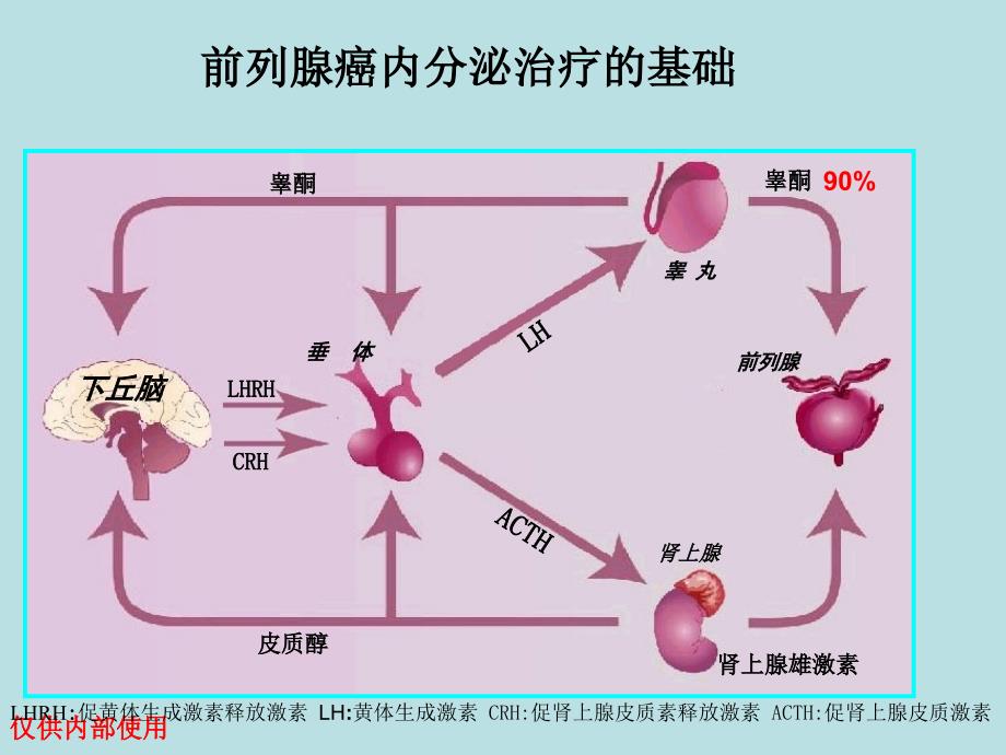 医学课件前列腺癌的内分泌治疗ppt课件