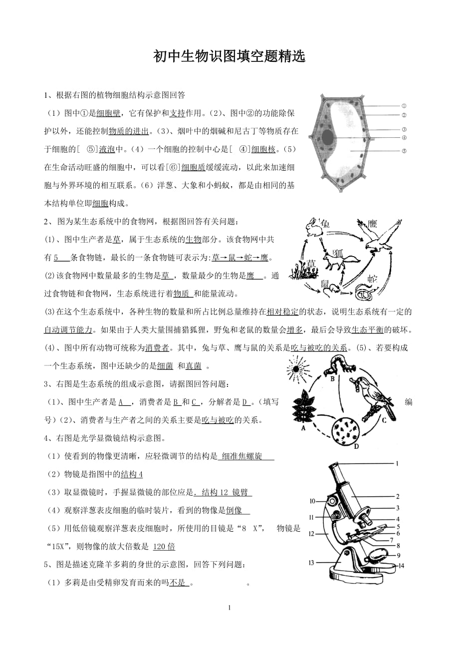 七年级下册生物识图题图片