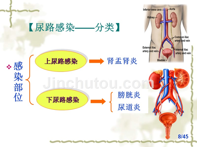 儿童尿路感染症状(儿童尿路感染症状不明显)