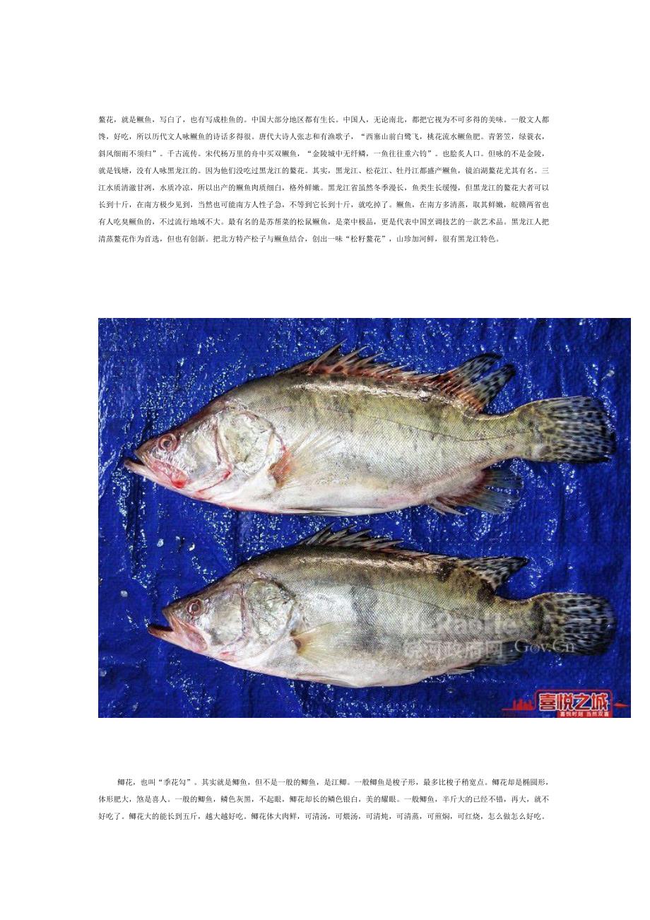 [整理版]松花江的名鱼"三花五罗十八子七十二杂鱼,你吃过几个!