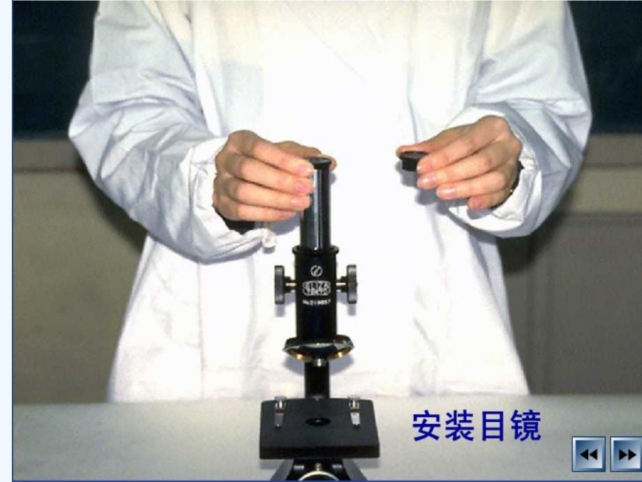 生物人教版七年级上册显微镜的使用操作步骤