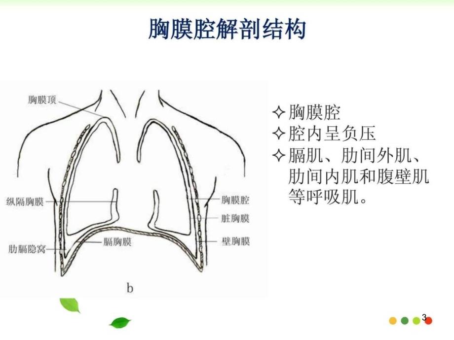 《胸腔闭式引流技术》ppt幻灯片