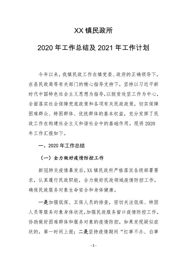 XX镇民政所2020年工作总结及2021年工作计划