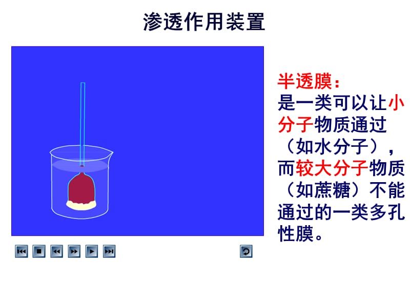 物質跨膜運輸的其他實例有動畫視頻ppt課件ppt