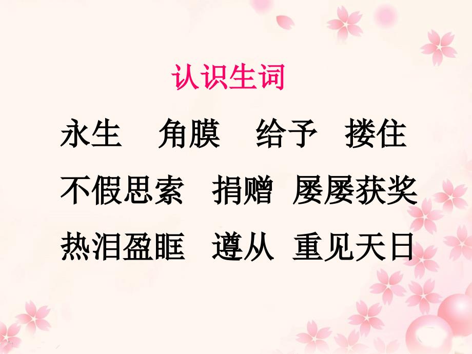 人教版小學四年級語文下冊第五單元第十七課永生的眼睛教學課件2