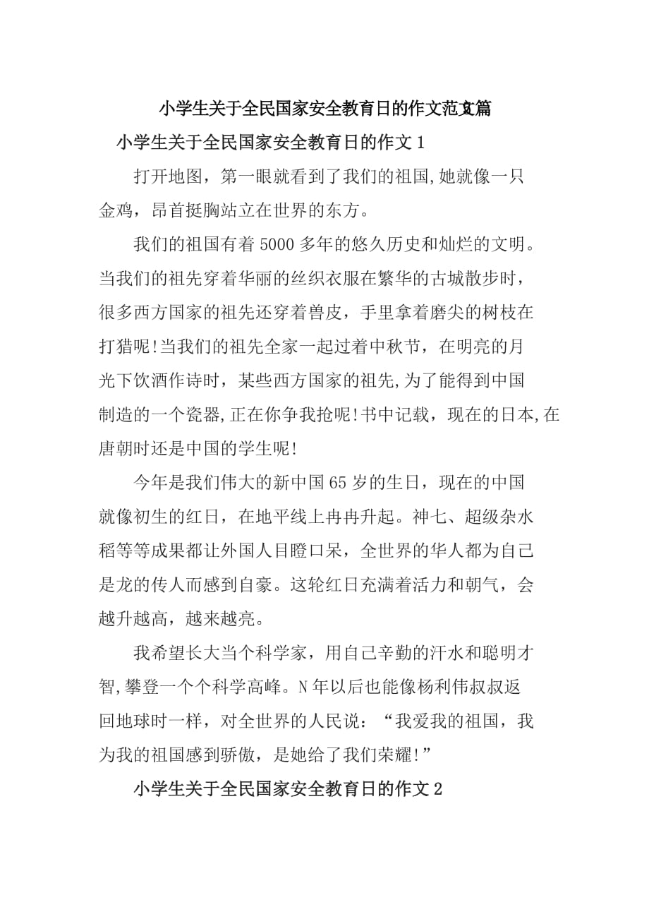 小學生關於全民國家安全教育日的作文範文5篇