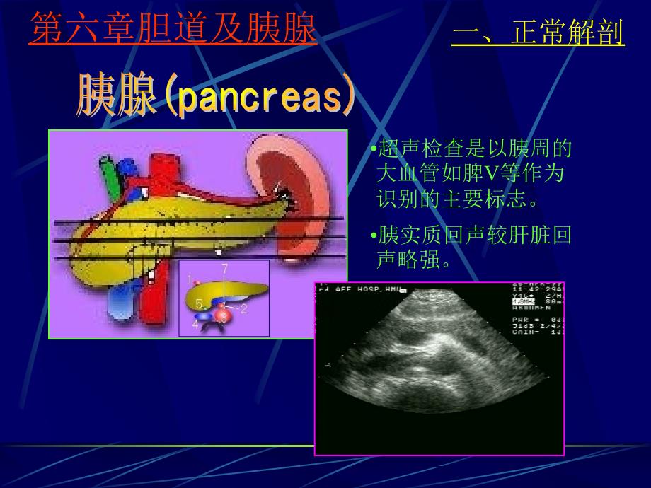 胰腺正常超声图像图片