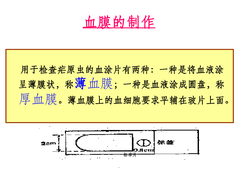 疟原虫血涂片制备图片