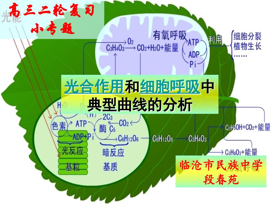 高三複習備考光合作用和細胞呼吸中典型曲線分析公開課課件ppt