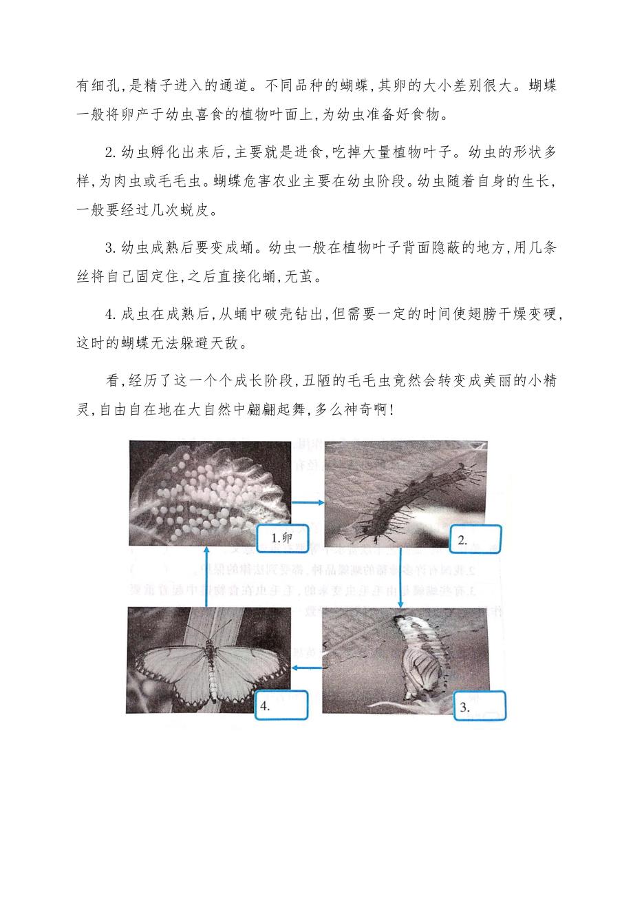 最新大象版四年级科学下册下期第一二三四单元练习题 附答案 金锄头文库