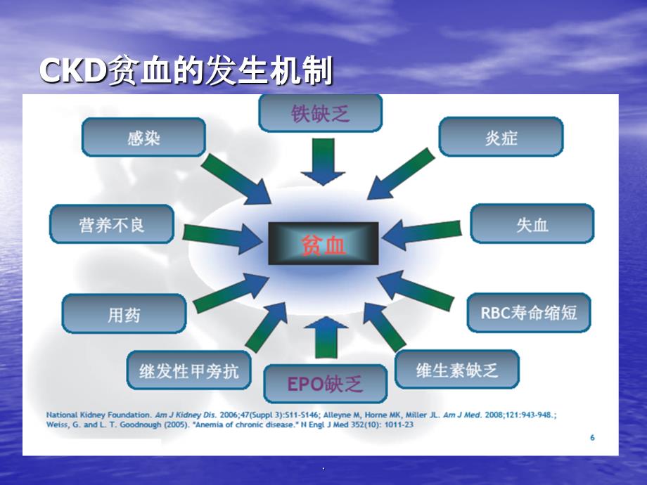 腎性貧血的診斷和治療ppt課件