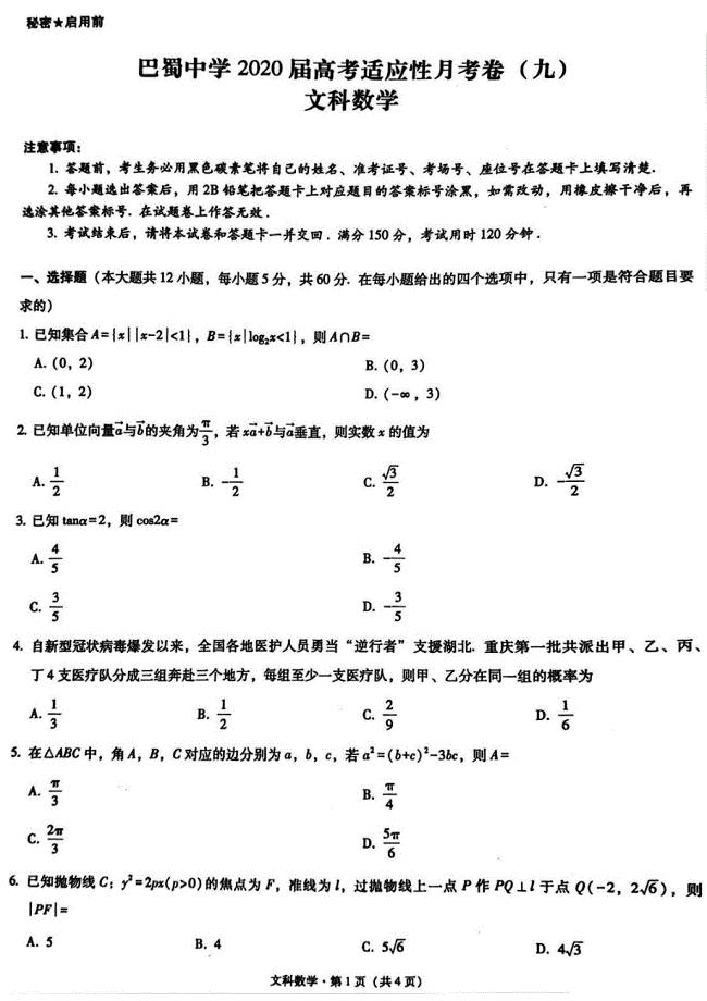 重庆市巴蜀中学2020届高考适应性月考卷（九）文科数学试题含答案