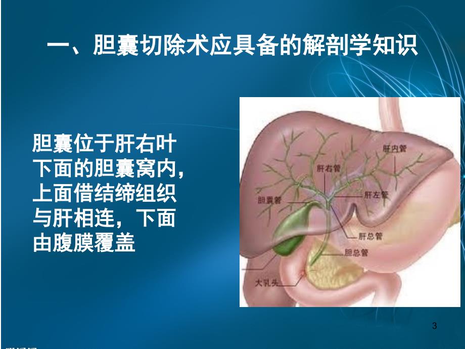 優質醫學膽囊切除術