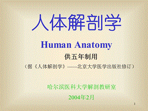 人體解剖學 供五年制用